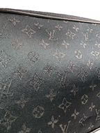 LOUIS VUITTON LV Limited Edition Conte de Fees Pochette Bag