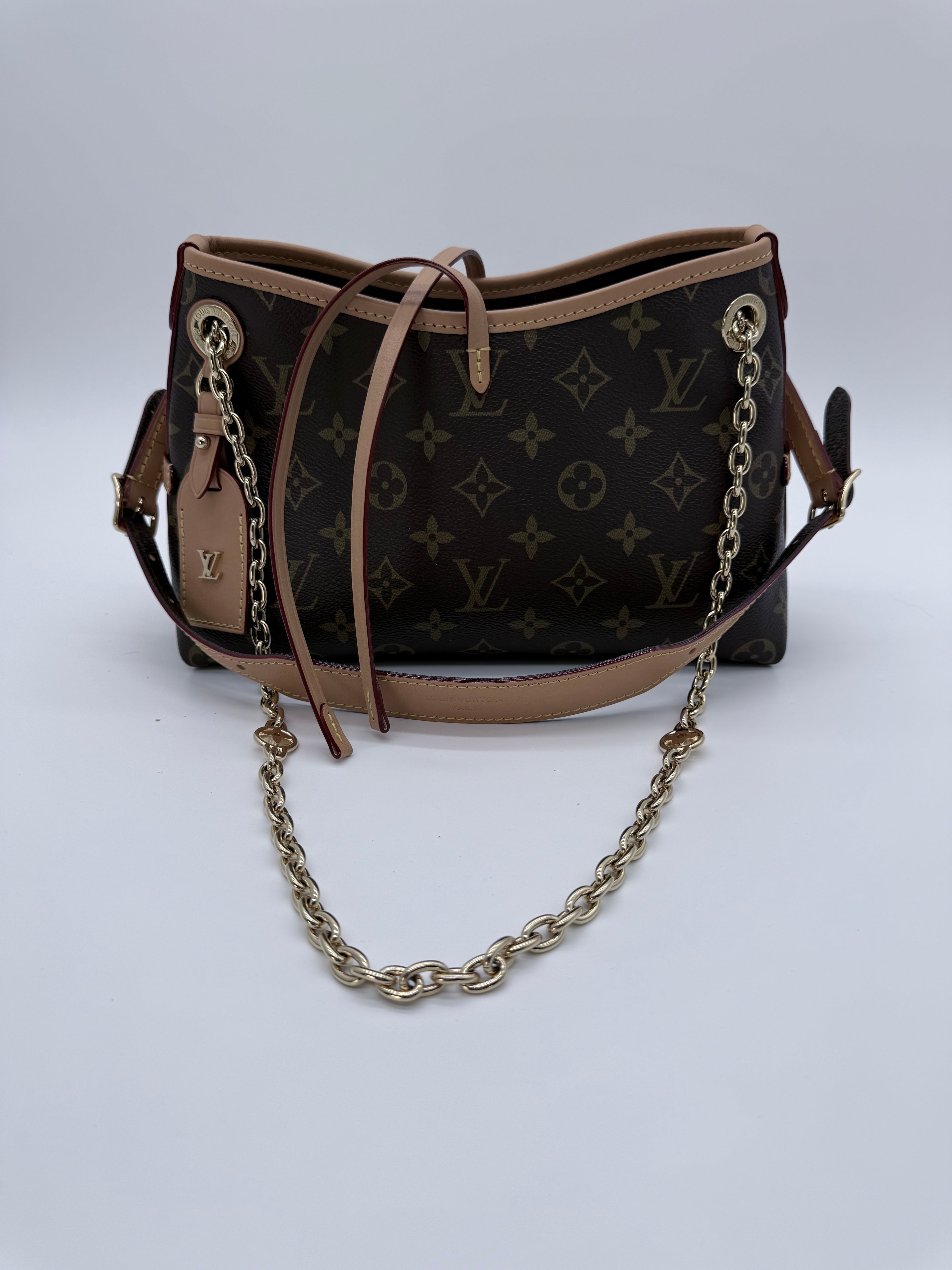 Louis Vuitton CarryAll PM Monogram
